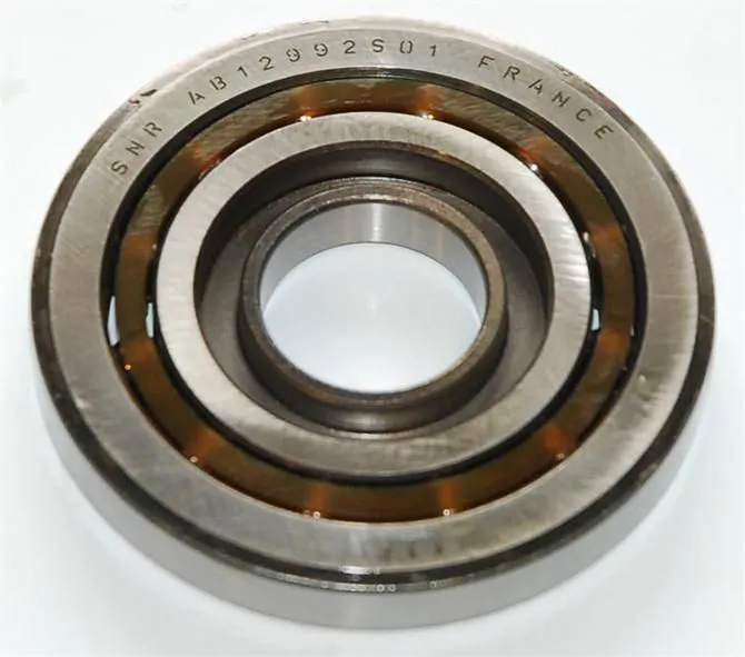 SKF RULMAN