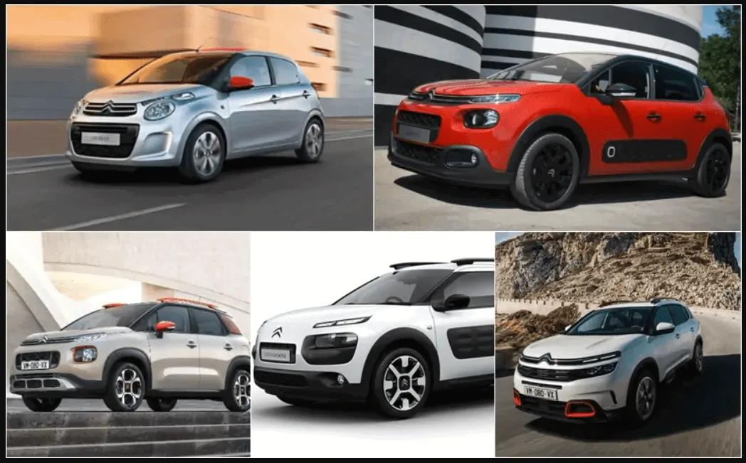 Citroen Çıkma Yedek Parça
